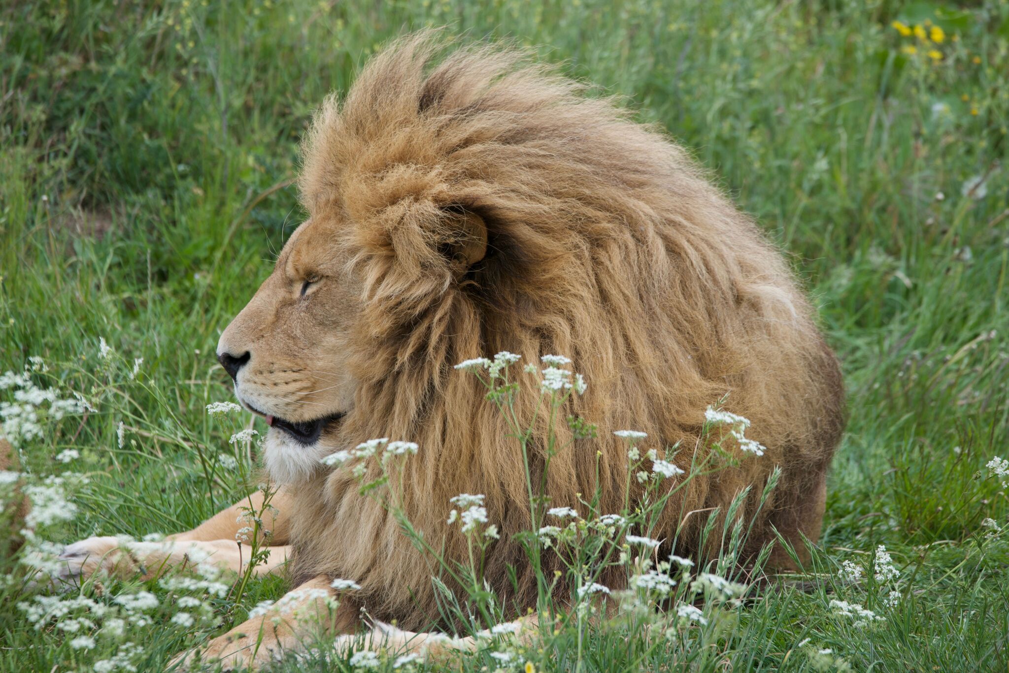 East Africa: The Ultimate Guide to the Wildest, Most Ridiculously Beautiful Corner of the Planet