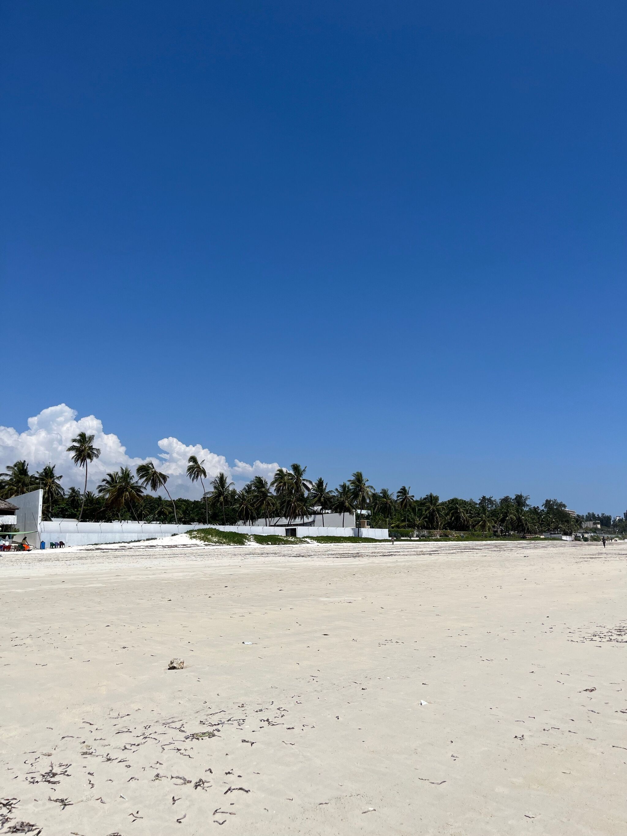 When Is the Best Time to Visit Diani Beach?