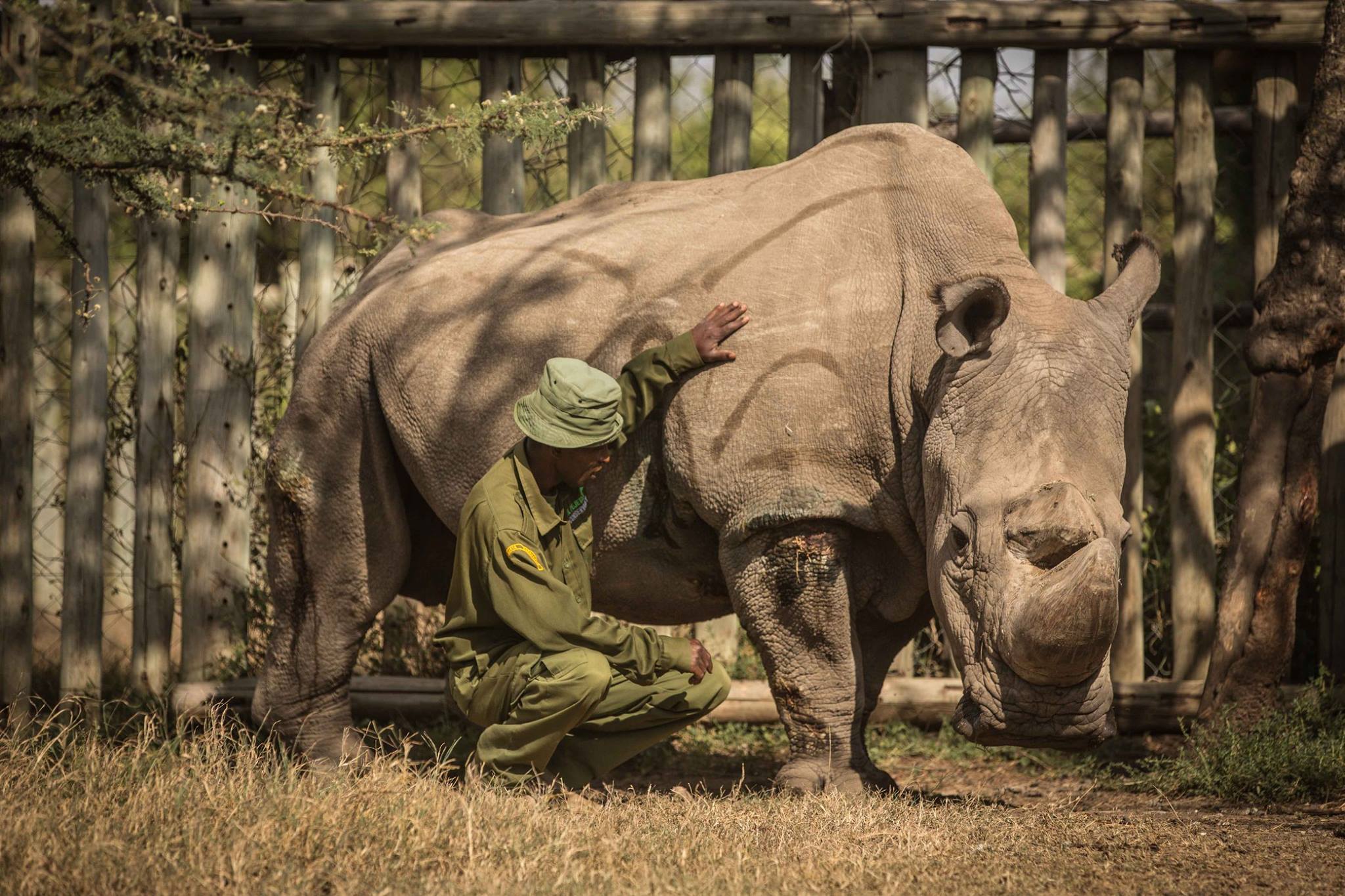 On the Trail of the Black Rhino: A Kenyan Safari with Sublime Safaris
