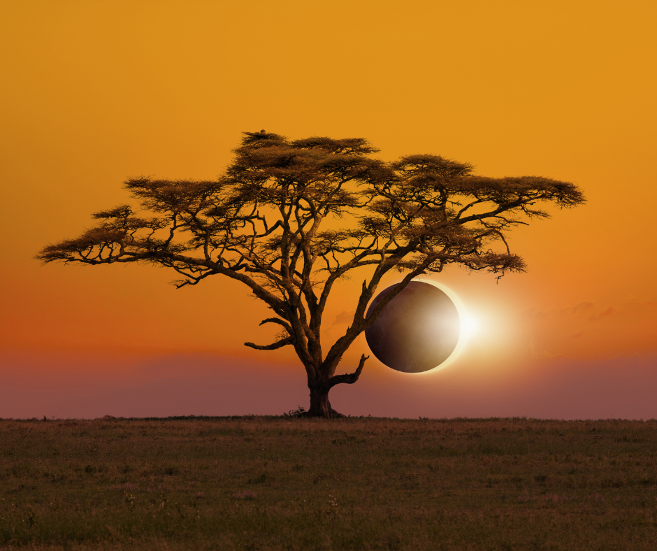 Exploring East Africa with Sublime Travel Limited