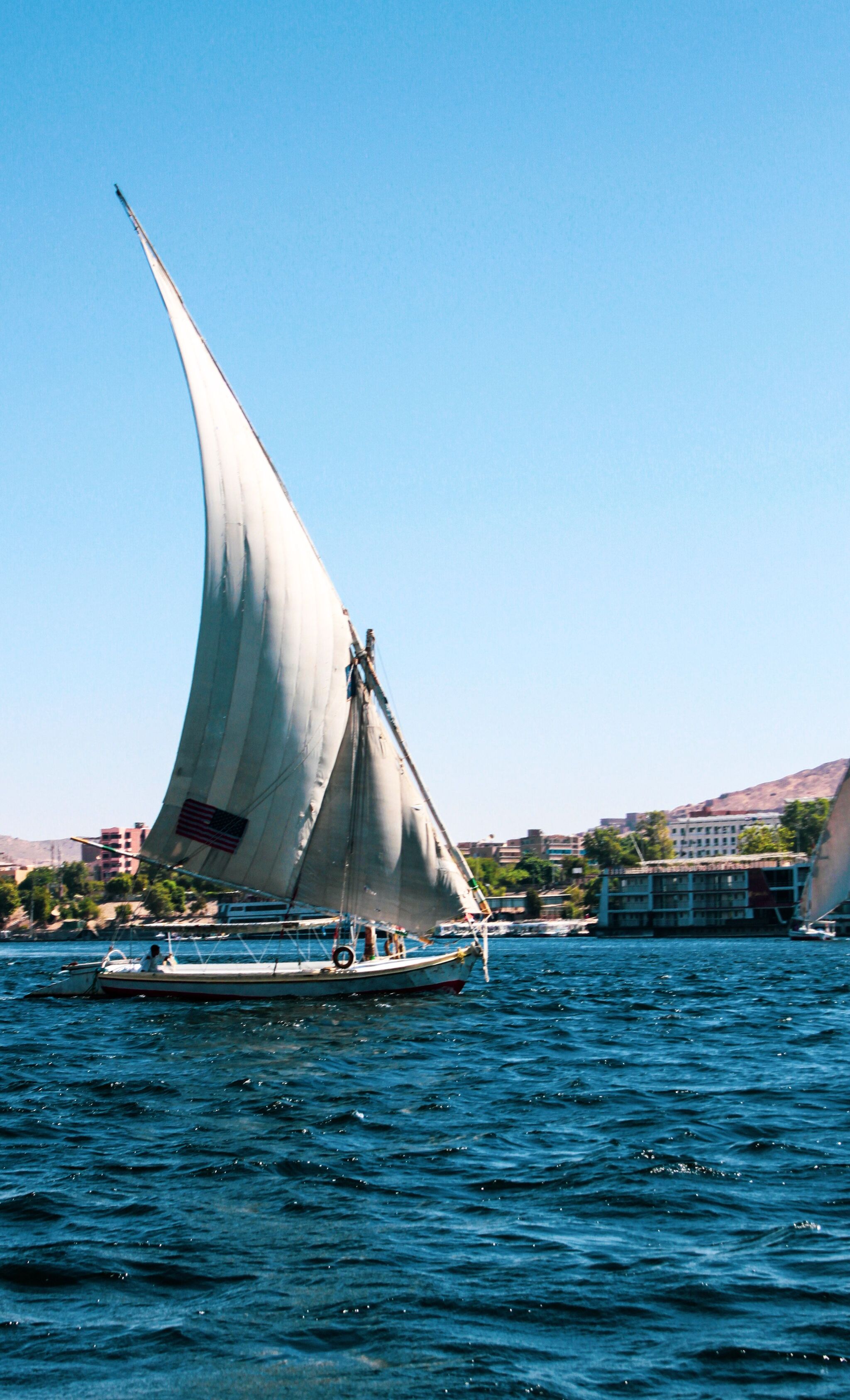 Dhow Cruise Safari in Lamu: The Only Safari Where the Big Five Is Crab, Lobster, Prawns, Fish and Coconut Rice